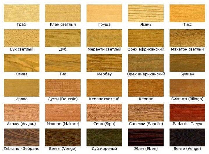 Породы древесины: сравнение и выбор | Компания ЛЕСШОП
