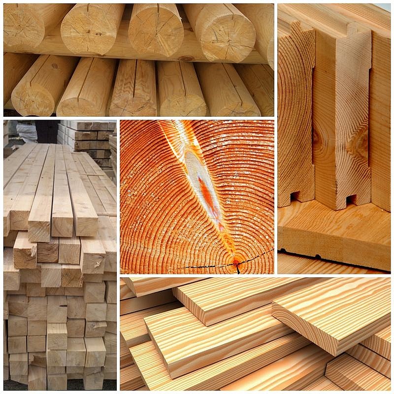 Породы древесины: сравнение и выбор | Компания ЛЕСШОП