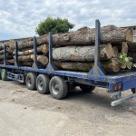 Обрезная доска из дуба