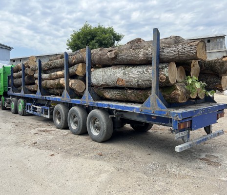 Обрезная доска из дуба