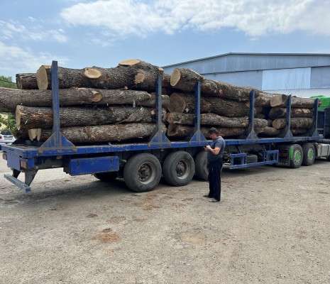 Обрезная доска из дуба