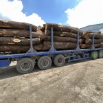 Обрезная доска из дуба