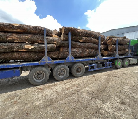 Обрезная доска из дуба