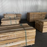 Акация робиния бревно