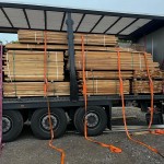 Акация робиния бревно