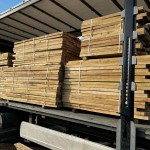 Акация робиния бревно