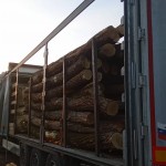 Обрезная доска из акации (робиния) сухая камерной сушки