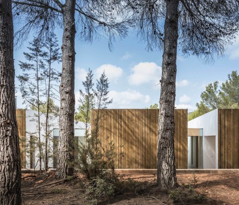 Планкен из термососны 20х90